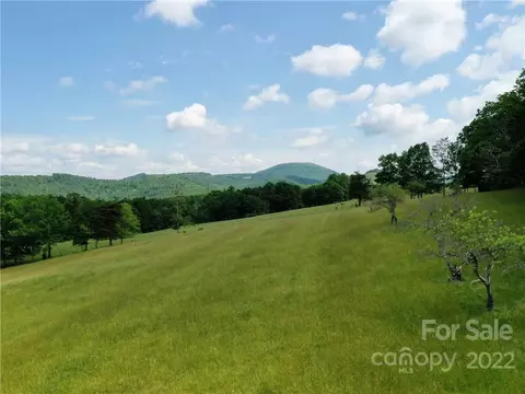 Eastman Place, Mill Spring, NC 28756 photo 8