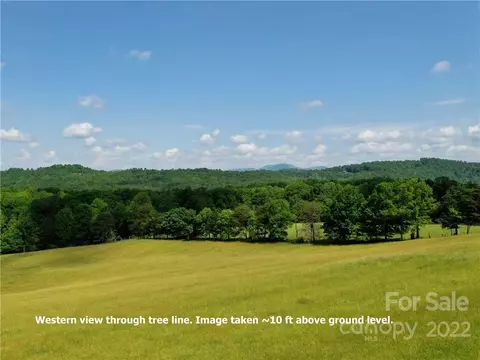Eastman Place, Mill Spring, NC 28756 photo 9