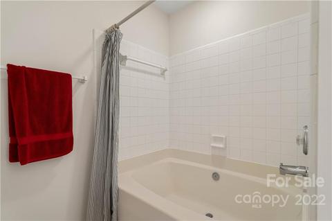 19515 Crosstrees Ln, Cornelius, NC 28031 photo 29