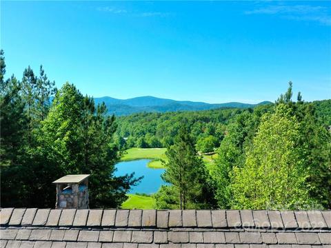 601 Chestertown Dr, Mill Spring, NC 28756 photo 40
