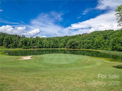 601 Chestertown Dr, Mill Spring, NC 28756 photo 36
