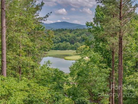 601 Chestertown Dr, Mill Spring, NC 28756 photo 25