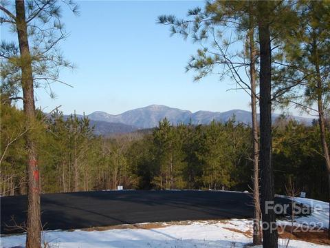 0 Ashley Ct #4, Mill Spring, NC 28756