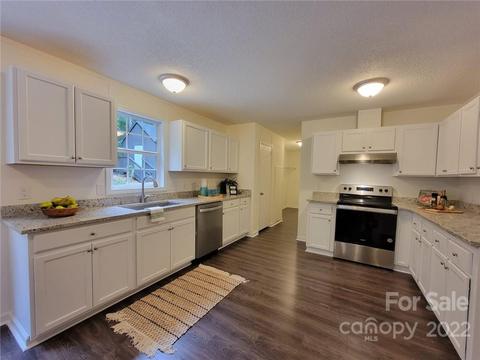 10450 Singletree Ln, Davidson, NC 28036 photo 9