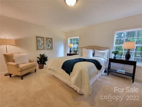 10450 Singletree Ln, Davidson, NC 28036 photo 16