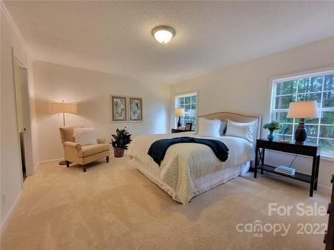 10450 Singletree Ln, Davidson, NC 28036 photo 17
