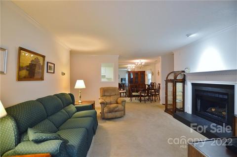 21160 Cold Spring Ln, Cornelius, NC 28031 photo 8