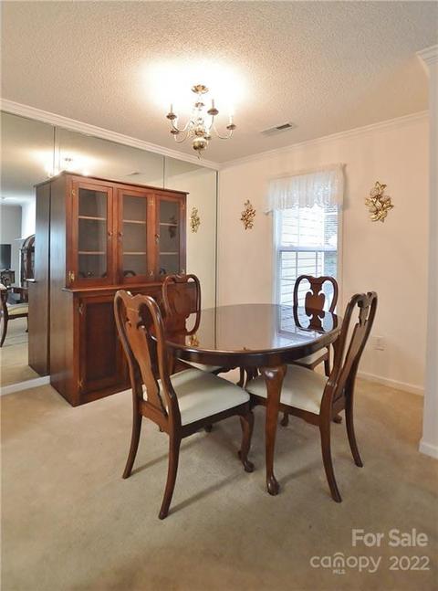 21160 Cold Spring Ln, Cornelius, NC 28031 photo 7