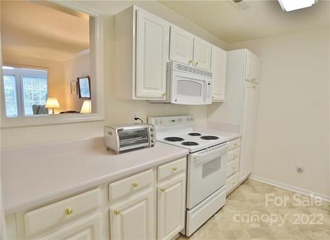 21160 Cold Spring Ln, Cornelius, NC 28031 photo 6