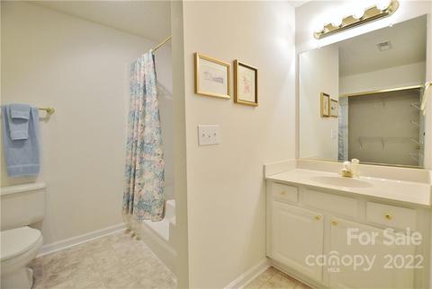 21160 Cold Spring Ln, Cornelius, NC 28031 photo 14