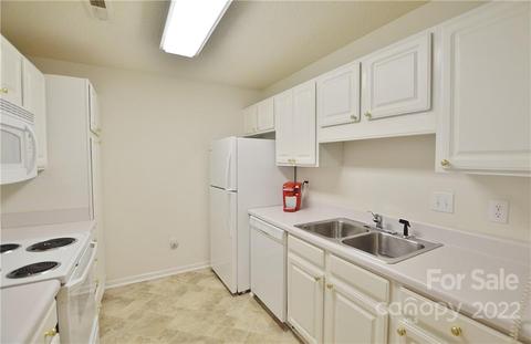21160 Cold Spring Ln, Cornelius, NC 28031 photo 4