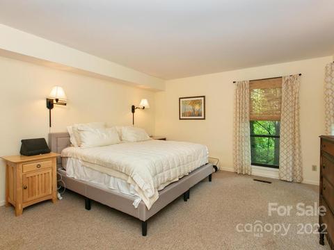 160 Turn Again Ln, Tryon, NC 28782 photo 19
