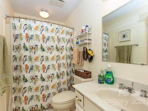 160 Turn Again Ln, Tryon, NC 28782 photo 22