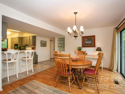 160 Turn Again Ln, Tryon, NC 28782 photo 16
