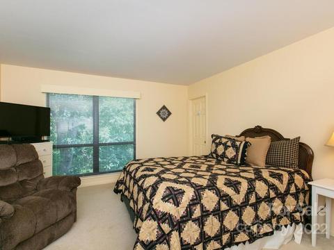 160 Turn Again Ln, Tryon, NC 28782 photo 26