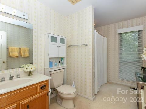 160 Turn Again Ln, Tryon, NC 28782 photo 28