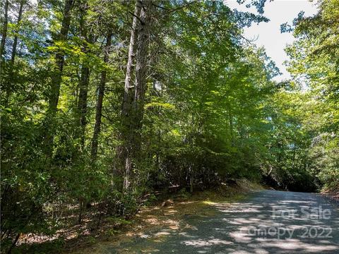 Tbd Woodwind Drive, Brevard, NC 28712