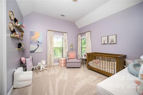 19634 Overleaf Ln, Davidson, NC 28036 photo 29
