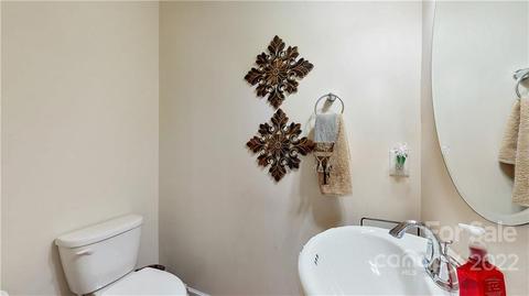 10679 Sapphire Trl, Davidson, NC 28036 photo 22