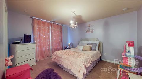 10679 Sapphire Trl, Davidson, NC 28036 photo 29