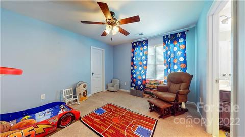10679 Sapphire Trl, Davidson, NC 28036 photo 32