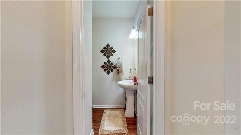 10679 Sapphire Trl, Davidson, NC 28036 photo 23