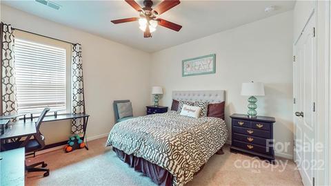 10679 Sapphire Trl, Davidson, NC 28036 photo 26