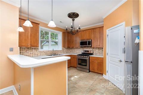 10053 Switchyard Dr, Cornelius, NC 28031 photo 11