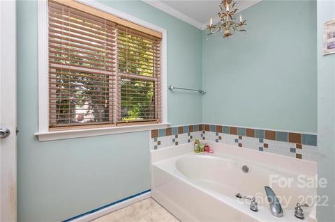 10053 Switchyard Dr, Cornelius, NC 28031 photo 20