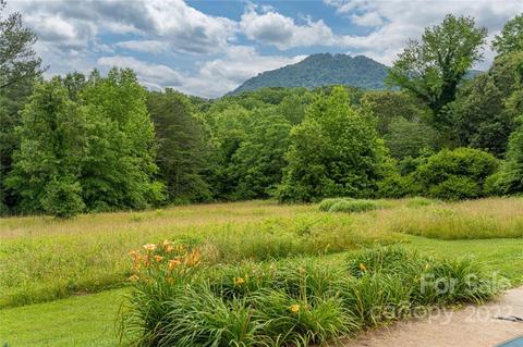 35 Page Farm Rd, Tryon, NC 28782 photo 7