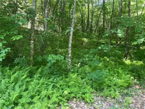 0000 Trillium 16 Ln #16, Rosman, NC 28772