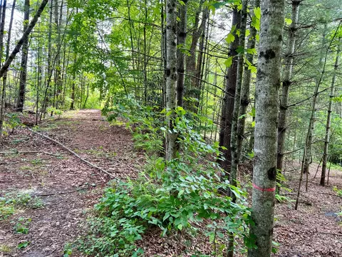 000 Crabtree Woods 11 20212223 Rd #11, 20,21,22,23, Spruce Pine, NC 28777