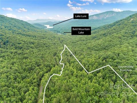 99999 Buffalo Creek Rd, Lake Lure, NC 28746
