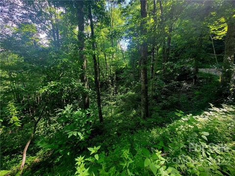 00 Catawba Rdg #18, Maggie Valley, NC 28751