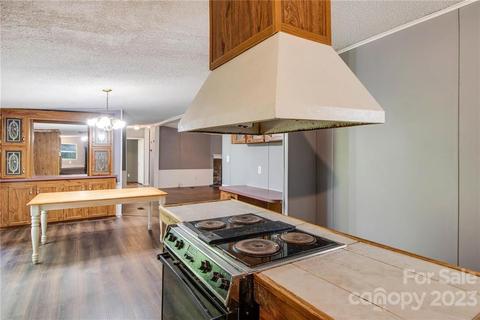 65 Hickory Nut Dr, Mill Spring, NC 28756 photo 15