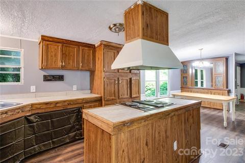65 Hickory Nut Dr, Mill Spring, NC 28756 photo 16