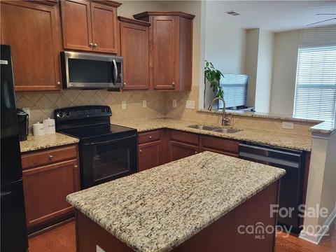 8284 Viewpoint Ln, Cornelius, NC 28031 photo 18