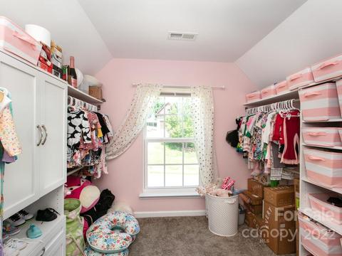 324 Tryon View Dr, Flat Rock, NC 28731 photo 24