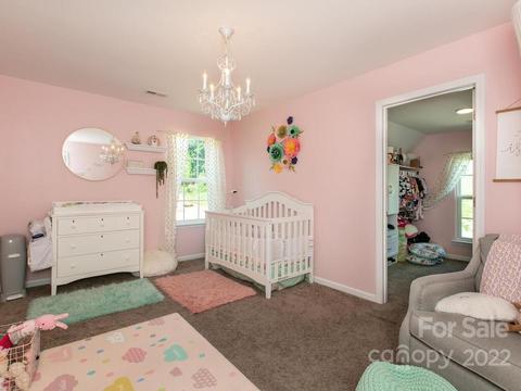 324 Tryon View Dr, Flat Rock, NC 28731 photo 25