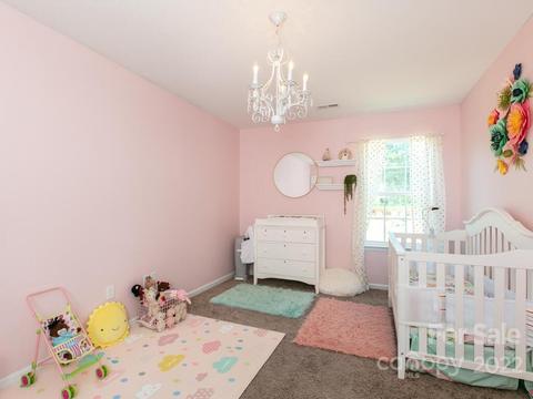 324 Tryon View Dr, Flat Rock, NC 28731 photo 22