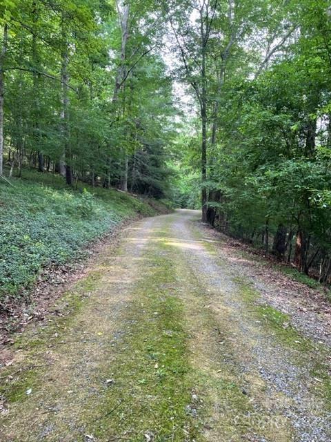 620 Wells Mill Rd, Bostic, NC 28018 photo 2