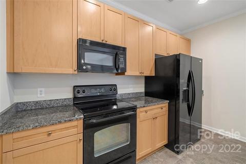 917 Central Park Cir, Davidson, NC 28036 photo 8