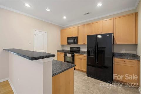 917 Central Park Cir, Davidson, NC 28036 photo 7