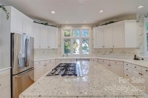 16404 Pinwhenny Rd, Cornelius, NC 28031 photo 16