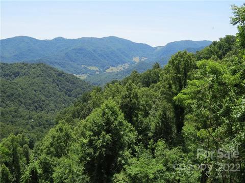 492 Freemont 77 Dr #77, Leicester, NC 28748