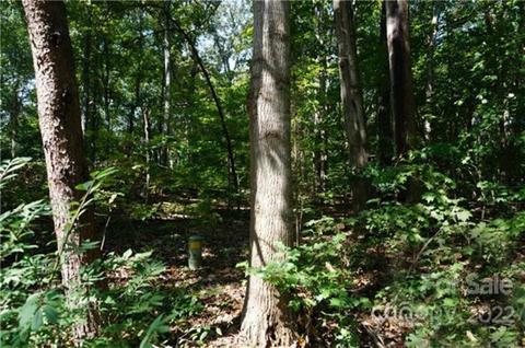 3829 Mill Run, Terrell, NC 28682 photo 2