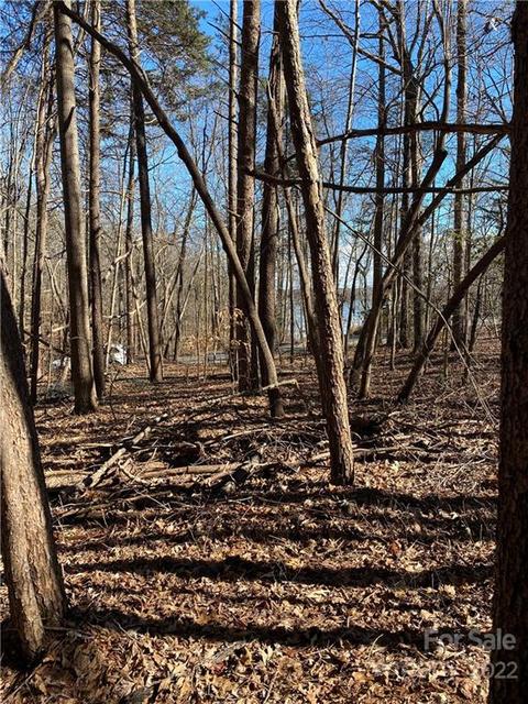 3829 Mill Run, Terrell, NC 28682 photo 3