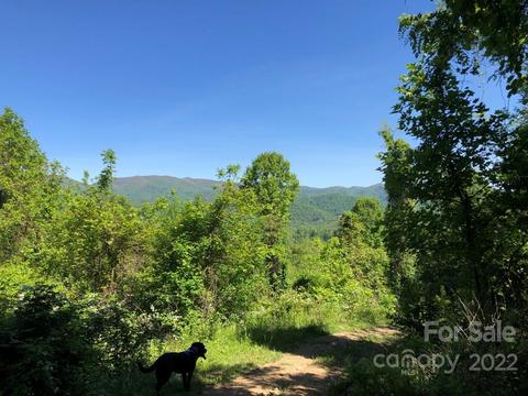 0000 Mailon King Rd, Leicester, NC 28748