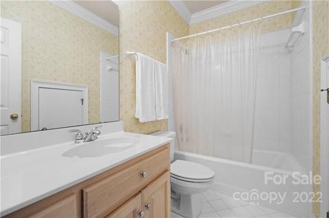 18716 Hammock Ln, Davidson, NC 28036 photo 18