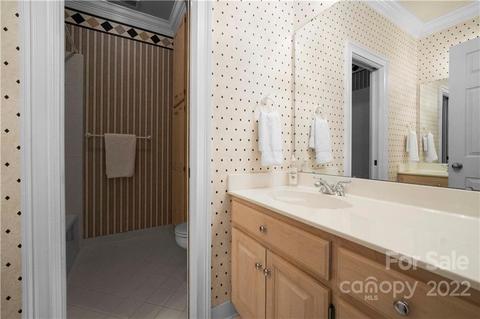 18716 Hammock Ln, Davidson, NC 28036 photo 20